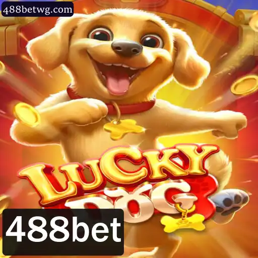488bet Rinha de galos
