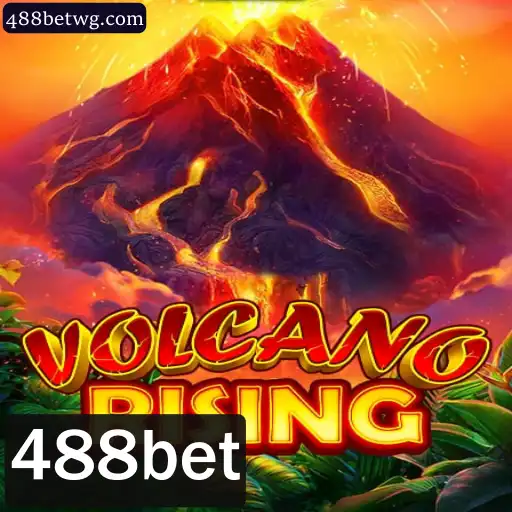 488bet política Privacidade
